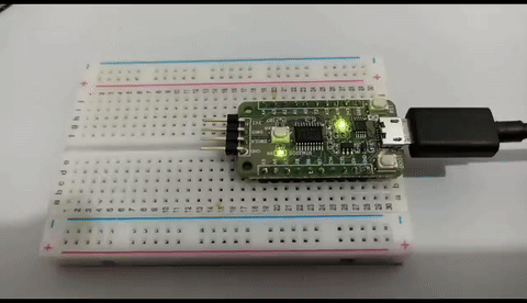 STM32C0 Franzininho with Arduino IDE – tips and tricks